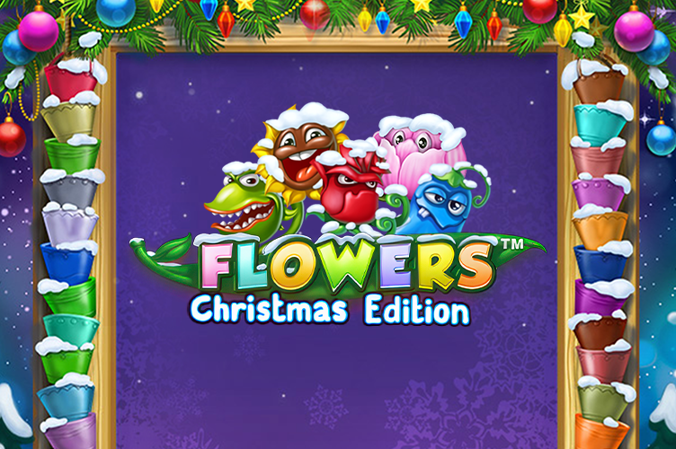 Flowers Christmas Edition